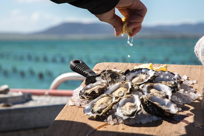 Experience Coffin Bay Oyster Farm and Bay Tour - Timing, weather, and what to wear so you feel comfortable
