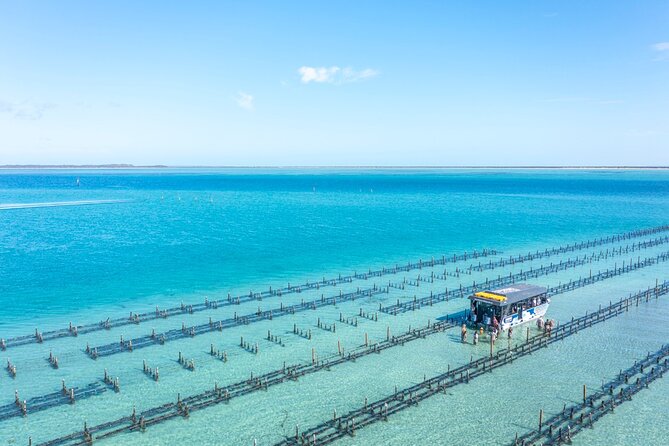 Experience Coffin Bay Oyster Farm and Bay Tour - How to decide if this tour fits your style