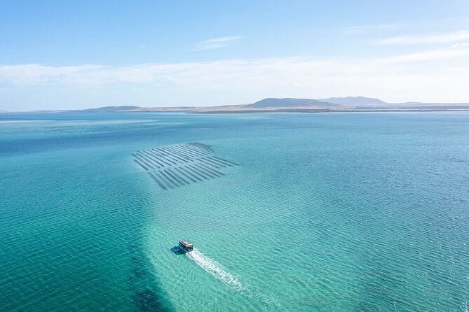 Experience Coffin Bay Oyster Farm and Bay Tour - Oyster farming hands-on: what you do and what you learn