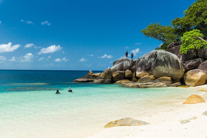 Fitzroy Island Day Tour from Cairns - Snorkeling upgrades, reef gear, and stinger suit comfort