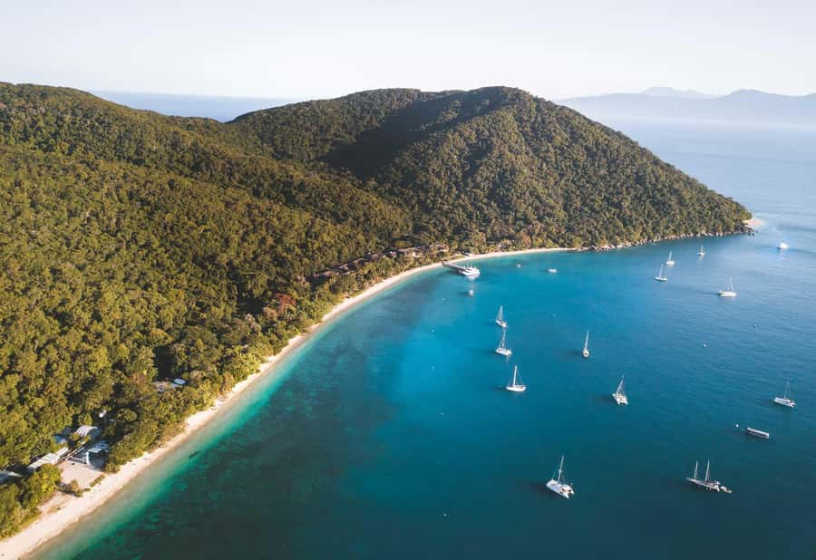 Fitzroy Island: Full-Day Ferry & Snorkel Safari Guided Tour - The 10:00 AM guided snorkel safari: why a guide is worth your time
