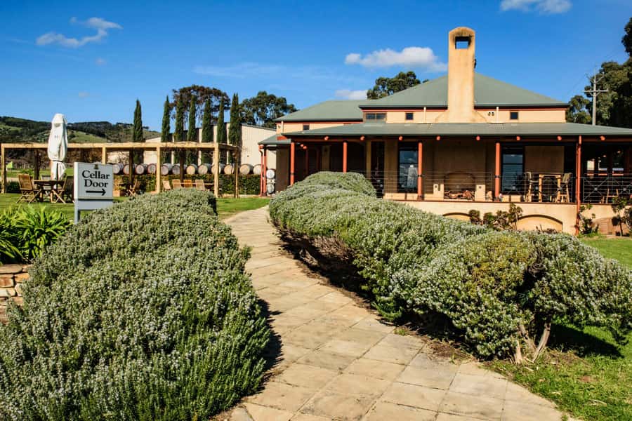 Fleurieu Peninsular: McLaren Vale Winery Experience - A second McLaren Vale tasting slot: compare before you commit