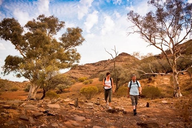 Flinders Ranges 3-Day Small Group 4WD Eco Tour from Adelaide - Day 2: Rawnsley Park Station and Bunyeroo Gorge Walks