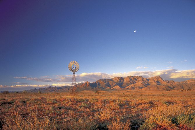 Flinders Ranges 3-Day Small Group 4WD Eco Tour from Adelaide - Wildlife Spotting in the Flinders, With Real Odds