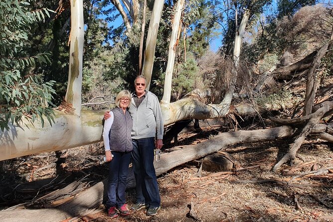 Flinders Ranges 5-Day Small Group 4WD Eco Tour from Adelaide - Why Flinders Ranges by 4WD feels better than a quick stop
