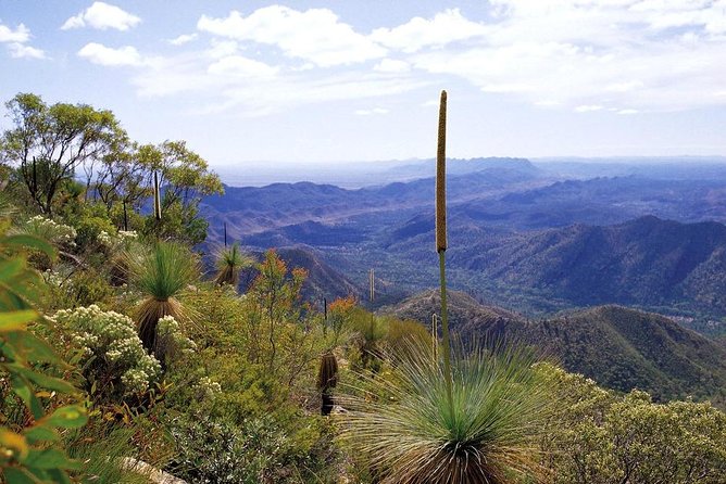 Flinders Ranges 5-Day Small Group 4WD Eco Tour from Adelaide - Quorn and the outback-town tone-setter on Day 1