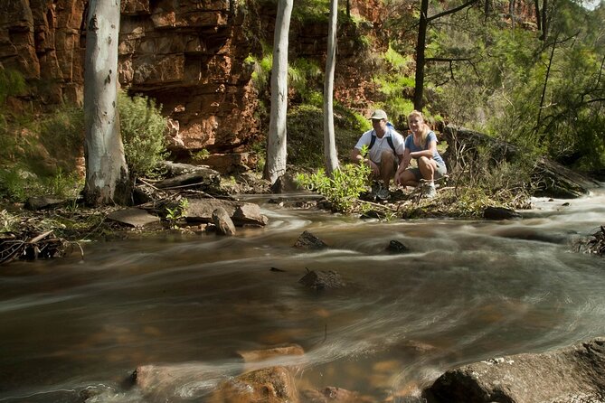 Flinders Ranges 5-Day Small Group 4WD Eco Tour from Adelaide - Wangara Lookout sunrise walk and the return along the eastern side