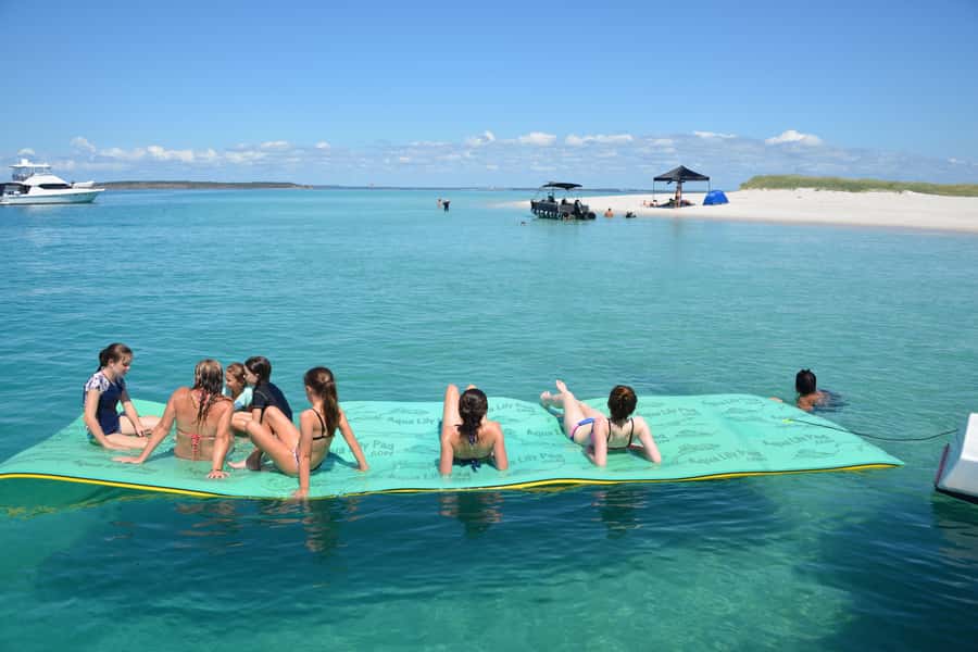 Fraser Island 4-Hour Eco-Sailing Adventure - Dolphin and dugong spotting: how the crew actually makes it work