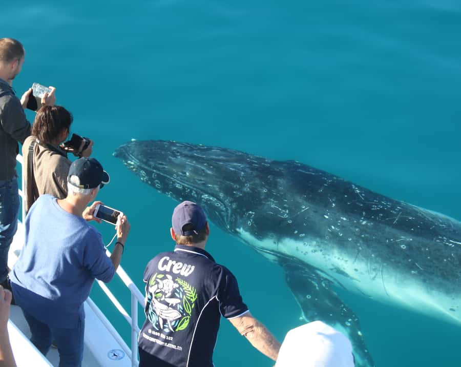 Fraser Island (K'gari): Remote Island and Whale Experience - Wathumba Creek: the active zone for snorkeling, kayaking, and tubing