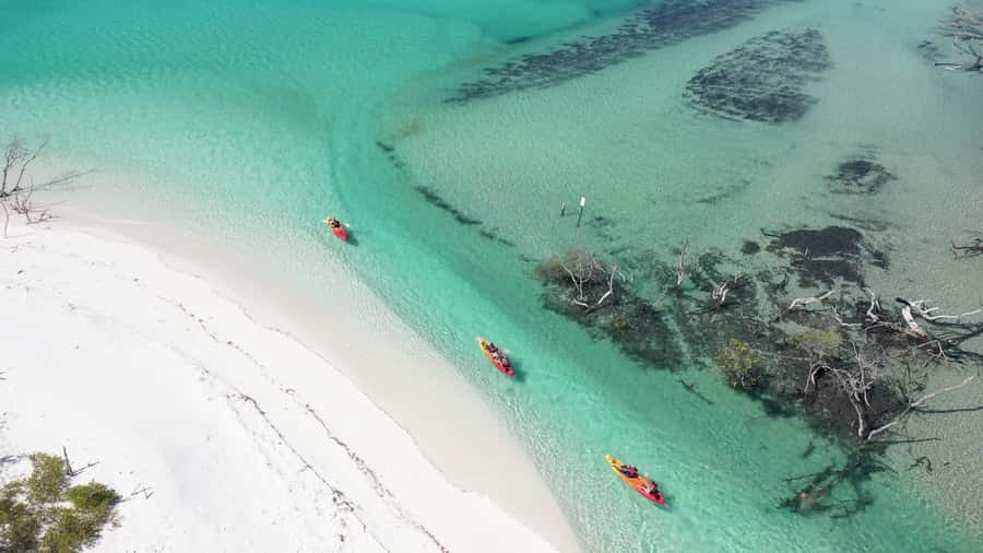 Fraser Island (K'gari): Remote Island and Whale Experience - Awinya and Bowarrady Creek: a second round of water time