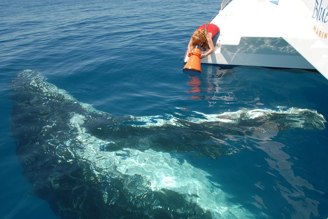 Fraser Island Whale Watch Encounter - Listening for whale songs with the hydrophone