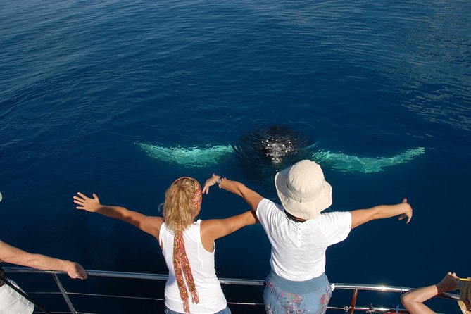Fraser Island Whale Watch Encounter - Stop 1, Hervey Bay: the calm start before the search