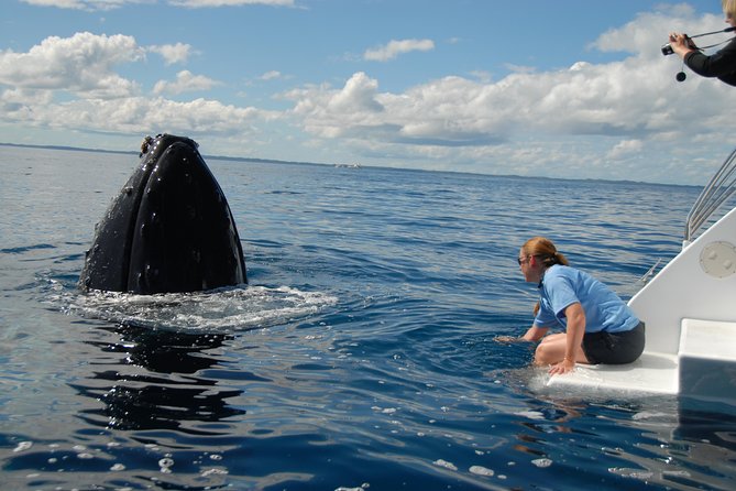 Fraser Island Whale Watch Encounter - Stop 3, K’gari (Fraser Island): why the island is part of the magic