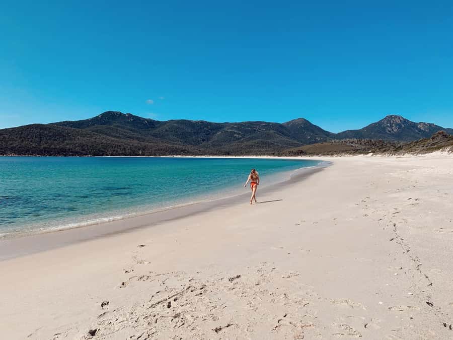 Freycinet: 5.5-Hr Small Group Guided Walk + Boat Experience - Hazards Beach shoreline time: wildlife, pink granite, and optional barefoot steps