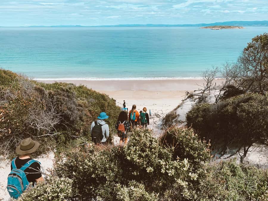 Freycinet: 5.5-Hr Small Group Guided Walk + Boat Experience - Picnic lunch from your backpack, then shoreline searching