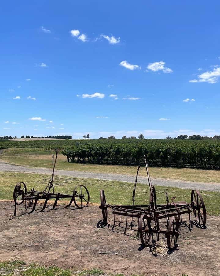 From Adelaide: Barossa to Hahndorf Wine Tasting and Lunch - How the timing really plays out in an 8-hour plan