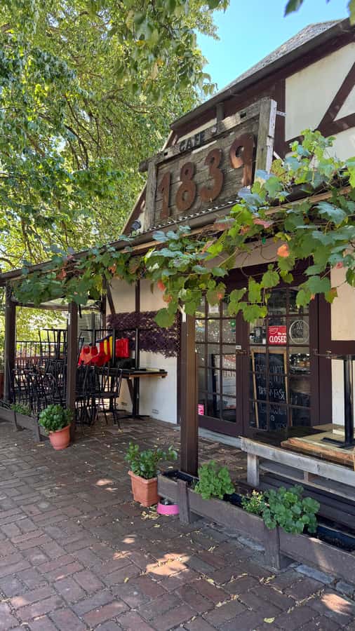 From Adelaide: Hahndorf and Barossa Day Tour with Lunch - Adelaide to Barossa, without the car stress