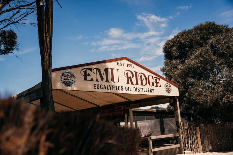 From Adelaide: Kangaroo Island Sip and See Day Trip - What this day trip suits best, and who should skip it