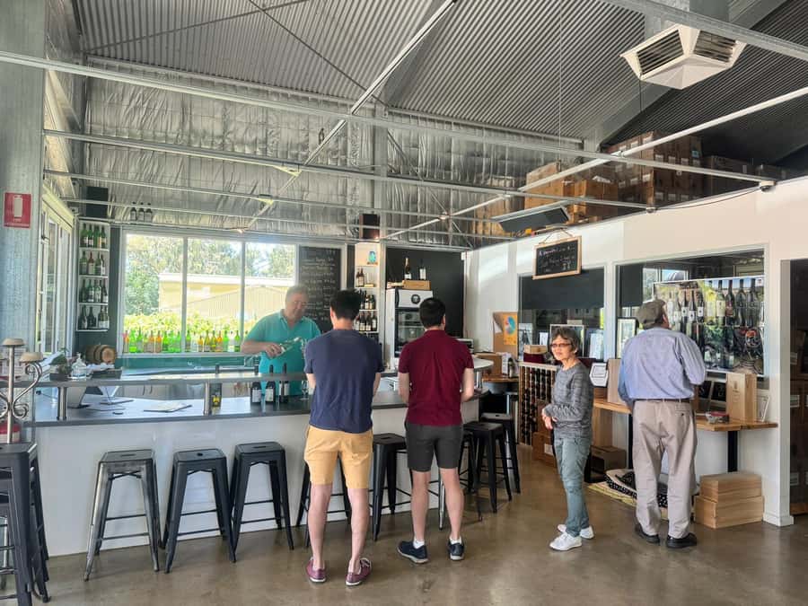 From Adelaide: McLaren Vale Wine Experience - Who Should Book, and Who Should Skip It
