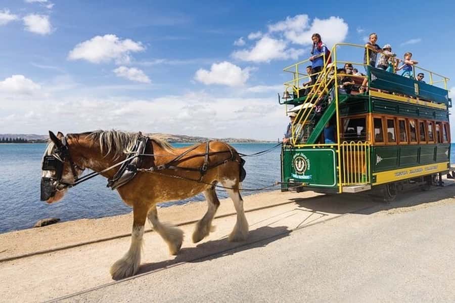 From Adelaide: Victor Harbor & Hahndorf Day Tour - Group tour reality: up to 40 people, coordinated stops, and your best strategy