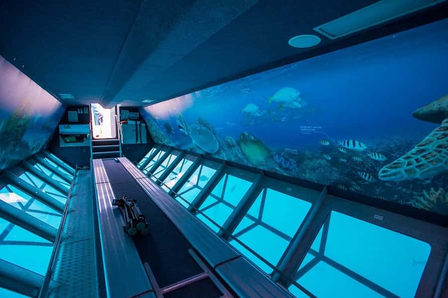 From Airlie Beach: Great Barrier Reef Adventure Cruise - Optional scuba experience and guided snorkeling add-ons
