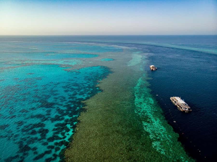 From Airlie Beach: Great Barrier Reef Adventure Cruise - Reefworld pontoon at Hardy Reef: pick your own rhythm