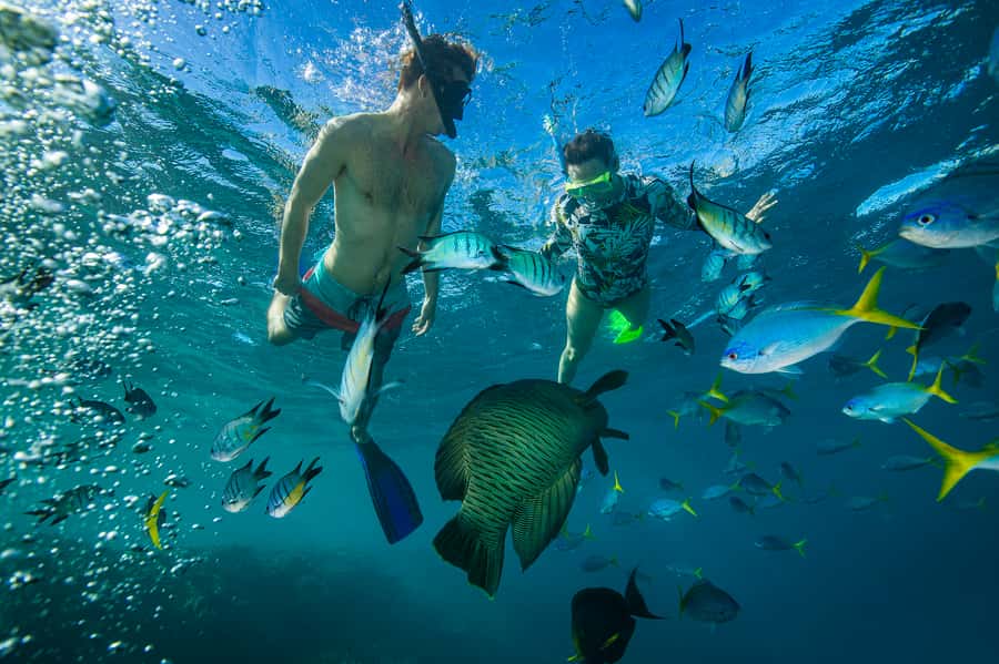 From Airlie Beach: Hook Island Cultural Tour, Sail & Snorkel - Nara Inlet and the Ngaro Cultural Site walk