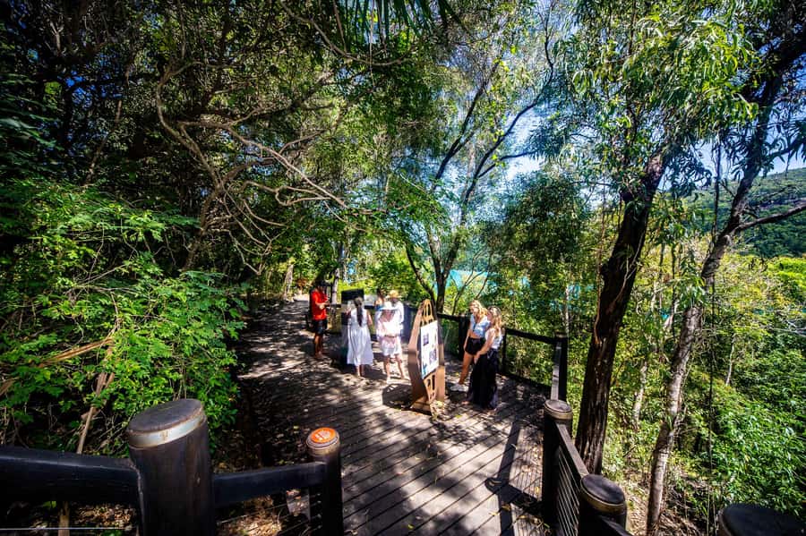 From Airlie Beach: Hook Island Cultural Tour, Sail & Snorkel - The ride back with sparkling wine and antipasto