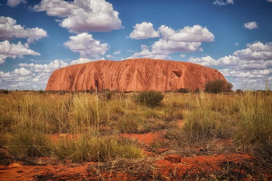 From Alice Springs: Day Trip to Uluru with BBQ Dinner - Key highlights to know before you go