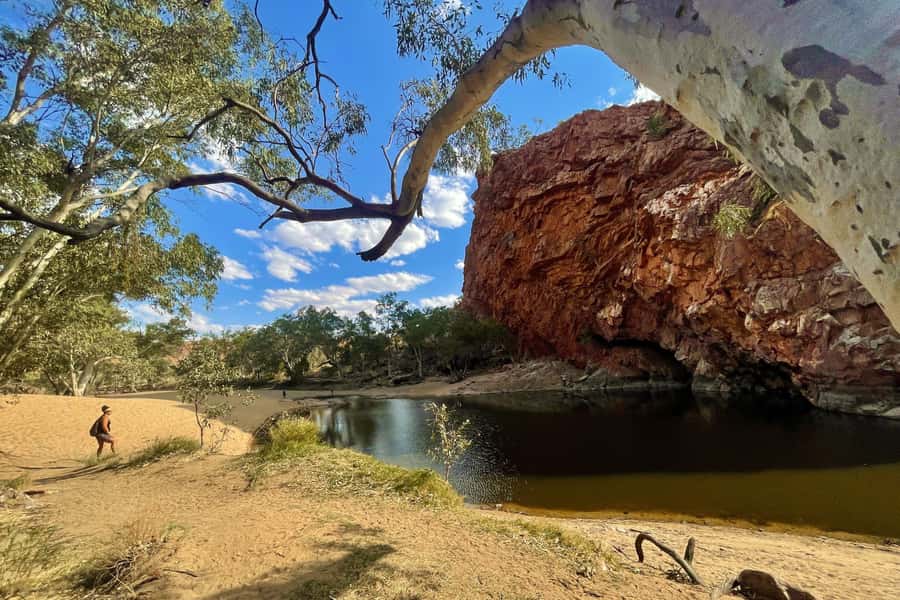 From Alice Springs/Yulara: 4-Day Red Centre 4WD Camping Tour - Watarrka (Kings Canyon) rim walk and the Mereenie Loop drive
