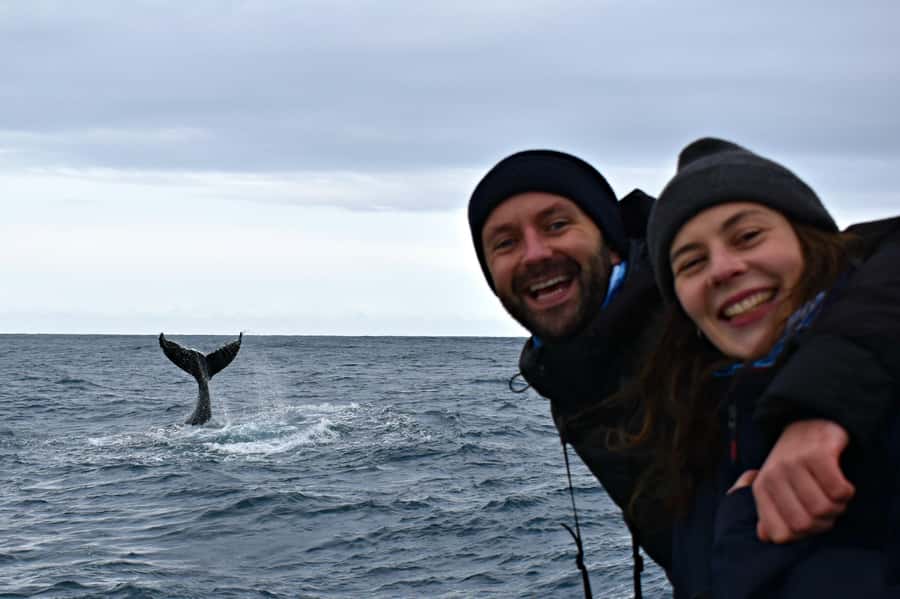 From Augusta: Whale Watching Award Winning Tour - The 2-Hour Cruise Experience, What Happens on the Water