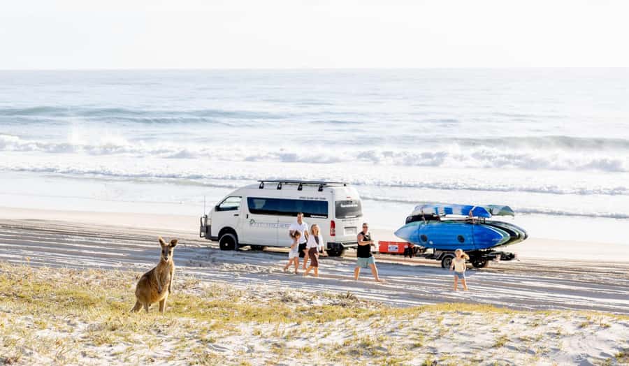From Brisbane: Bribie Island Day Trip and 4x4 tour - Tea-tree lagoons swim stop: calm water with an unusual color