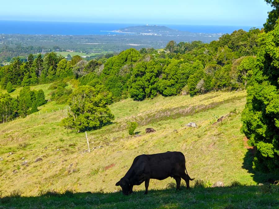 From Brisbane: Byron Bay, Bangalow, and Gold Coast Day Tour - Captain Cook Memorial and Lighthouse views: start strong with sea air
