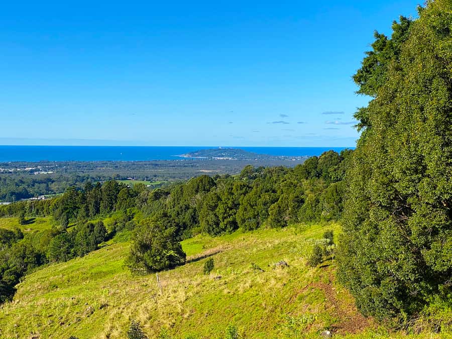 From Brisbane: Byron Bay, Bangalow, and Gold Coast Day Tour - Byron Bay town time, The Farm morning tea, and the macadamia stop