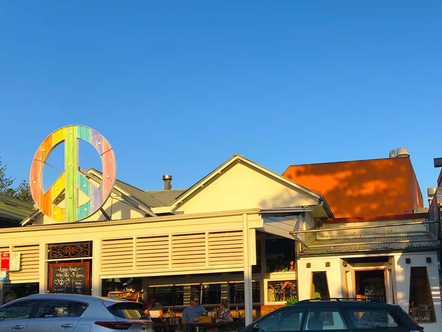 From Brisbane: Byron Bay, Bangalow, and Gold Coast Day Tour - Trevor behind the wheel, and why the small group changes everything