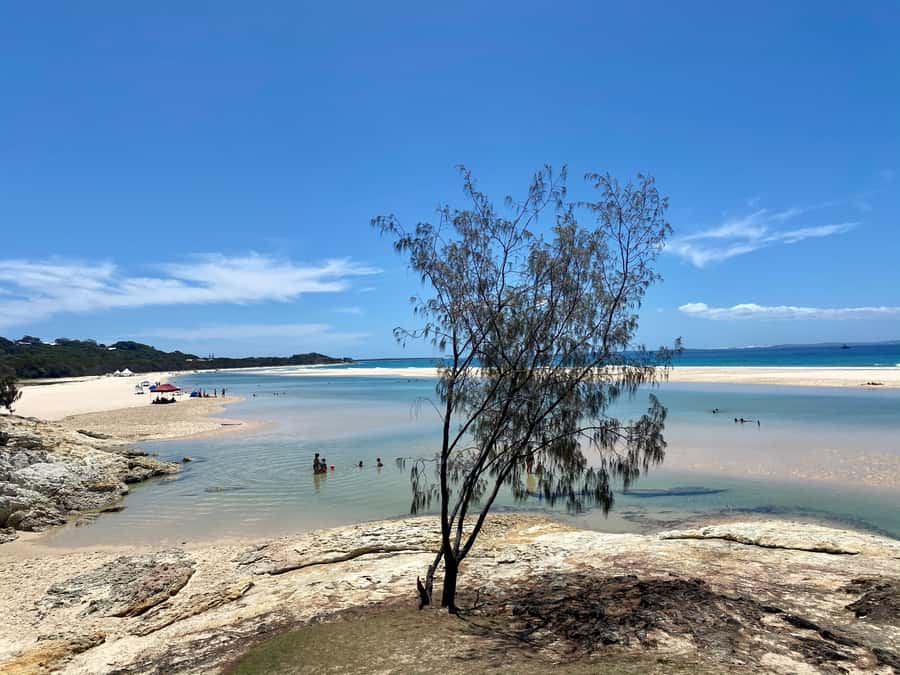 From Brisbane: North Stradbroke Island Wildlife Adventure - Key things that make this trip work