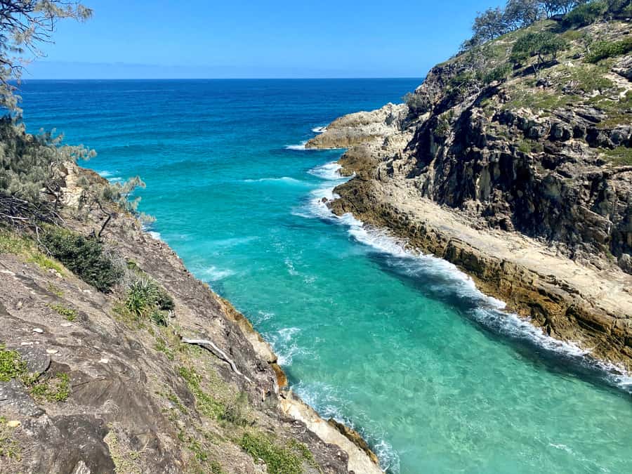 From Brisbane: North Stradbroke Island Wildlife Adventure - North Stradbroke Island, the coastal-wildlife day you can actually finish