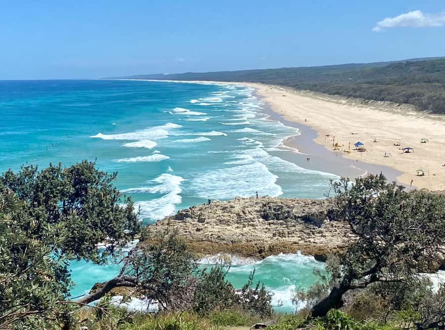 From Brisbane: North Stradbroke Island Wildlife Adventure - How the transport day sets the tone (and why the ferry matters)