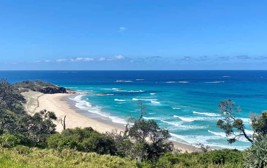 From Brisbane: North Stradbroke Island Wildlife Adventure - Meeting in Brisbane: the 7:45 AM reality check