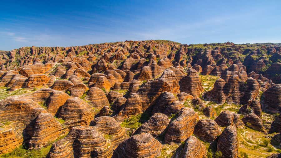 From Broome: Bungle Bungle Explorer Scenic Flight - Key things to know before you go