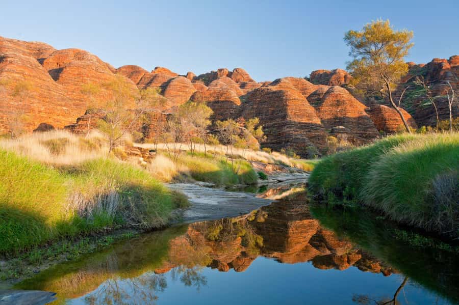 From Broome: Bungle Bungle Explorer Scenic Flight - Bellburn Airstrip Meet-Up and the Southern Dome 4WD Ride