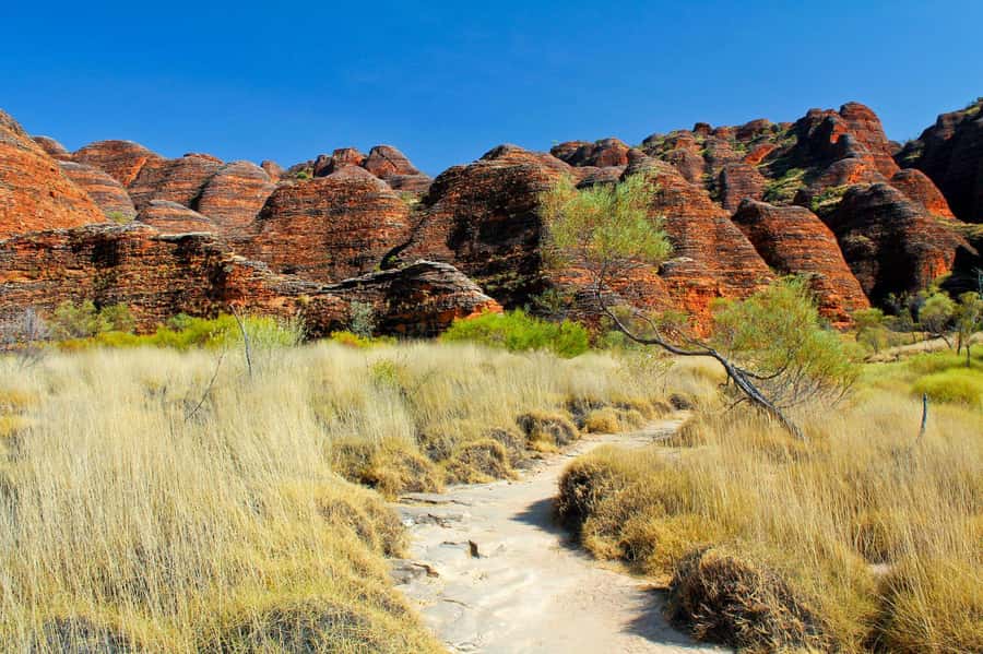 From Broome: Bungle Bungle Explorer Scenic Flight - Cathedral Gorge Walk: 3 km, sand footing, steep steps, and a ladder