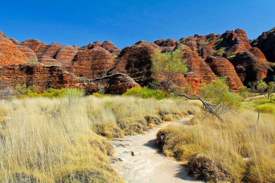 From Broome: Bungle Bungle Explorer Scenic Flight - Meals in the Amphitheatre: Lunch and drinks where you can linger