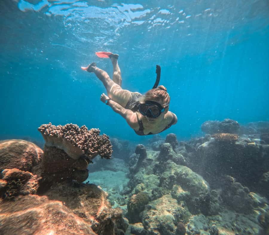 From Cairns: 2 Islands 1 day - Fitzroy & Green Islands - Fitzroy Island rainforest walks and the glass-bottom reef tour