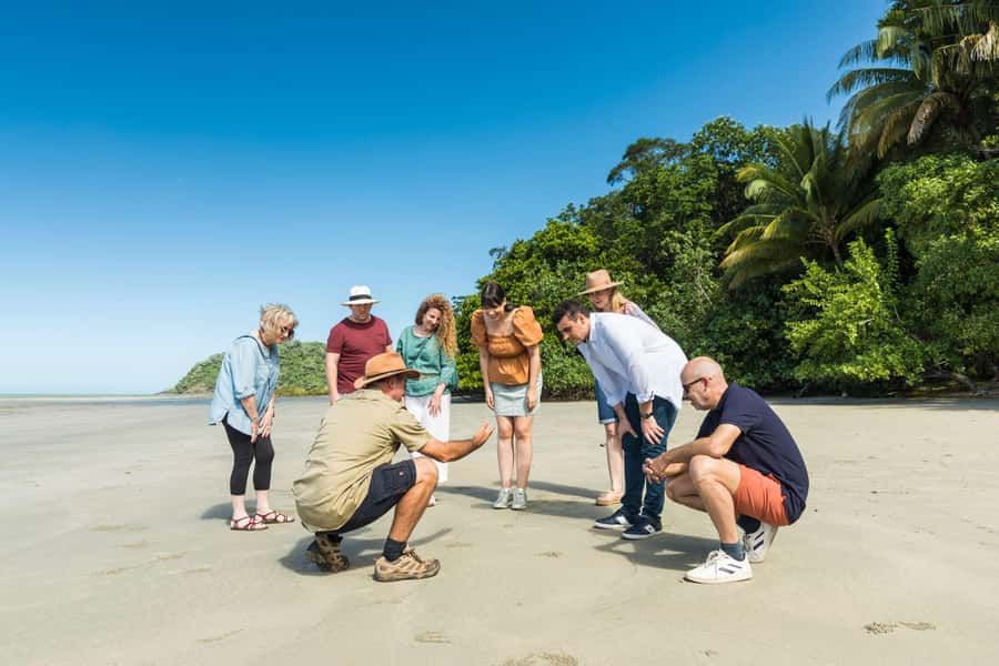 From Cairns: 3-Day Reef, Rainforest, and Outback Package - Reef Day on the Outer Great Barrier Reef: two snorkel stops and onboard comfort