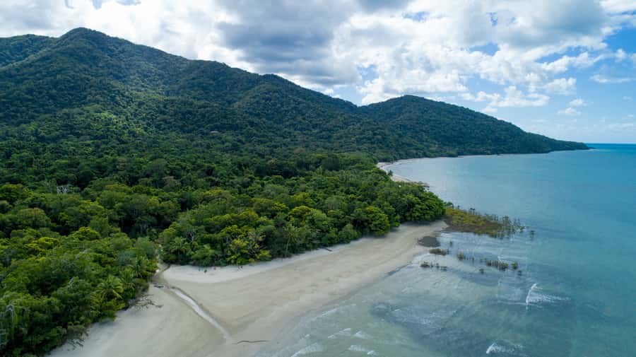 From Cairns: 3-Day Reef, Rainforest, and Outback Package - Daintree Rainforest and Cape Tribulation: boardwalks, crocodiles, and a cool-down swim
