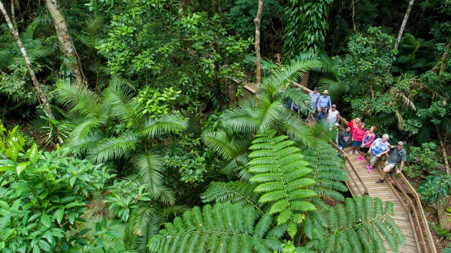 From Cairns: 3-Day Reef, Rainforest, and Outback Package - That 3-day value question: what $438 buys (and where extra costs can appear)