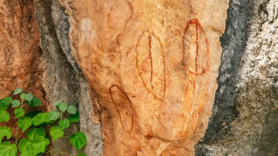 From Cairns: 3-Day Reef, Rainforest, and Outback Package - What the guides get right, and where the pace can feel intense