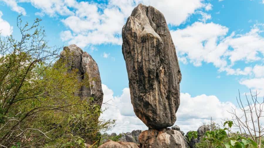 From Cairns: 3-Day Reef, Rainforest, and Outback Package - FAQ