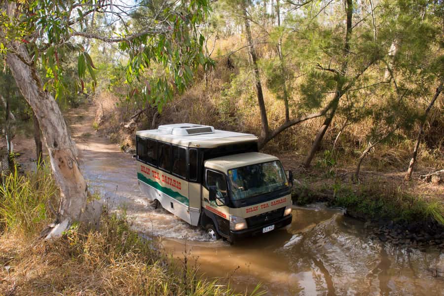 From Cairns: 3-Day Reef, Rainforest, and Outback Package - Chillagoe and the Outback by 4WD: caves, Aboriginal rock art, and wallabies